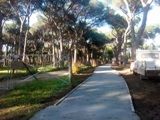 Roma, restyling nei parchi per la riqualificazione del verde cittadino