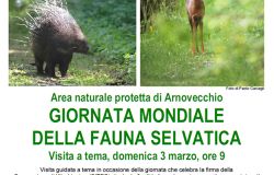 Empoli. “Giornata mondiale della fauna selvatica”, visita a tema ad Arnovecchio
