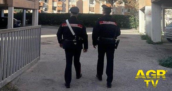 Carabinieri Ardea i militari intervenuti
