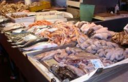 Fiumicino, sequestrati 400 chili di pesce avariato