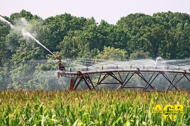Azienda agricola impianto di irrigazione in funzione foto pixabay