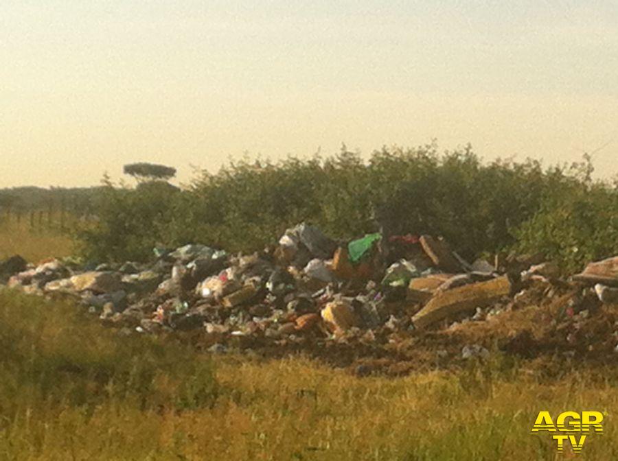 Discariche abusive, arrivano le telecamere Discariche abusive, arrivano le telecamere