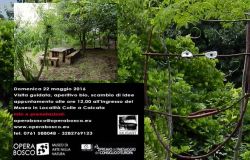 Calcata, visita al museo Opera Bosco