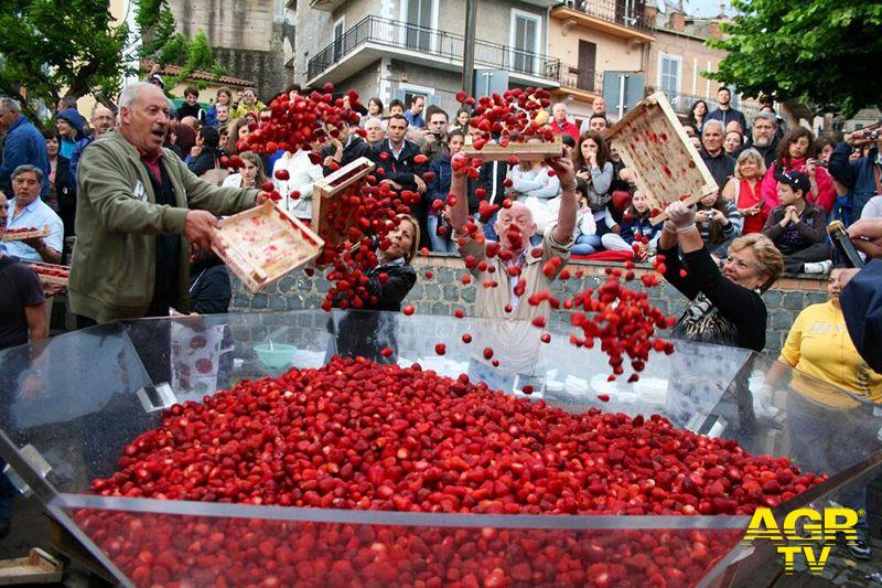 La sagra delle fragole di Nemi La sagra delle fragole di Nemi