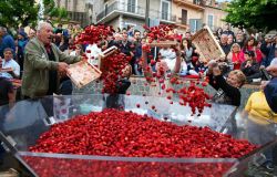La sagra delle fragole di Nemi