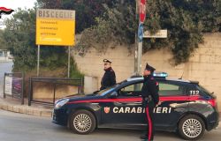Arrestato Latitante che Scendeva dal Treno: Brillante Operazione dei Carabinieri di Bisceglie