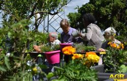 Alzheimer orti terapeutici e giardini sensoriali