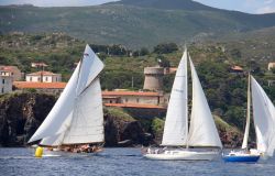 Capraia Sail Rally le vele d'epoca in regata ph credit Maccione