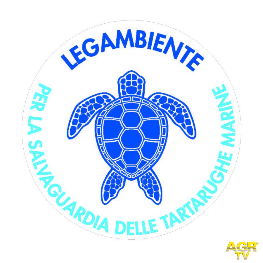 Giornata mondiale degli Oceani, liberate due tartarughe marine Giornata mondiale degli Oceani, liberate due tartarughe marine