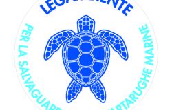 Giornata mondiale degli Oceani, liberate due tartarughe marine