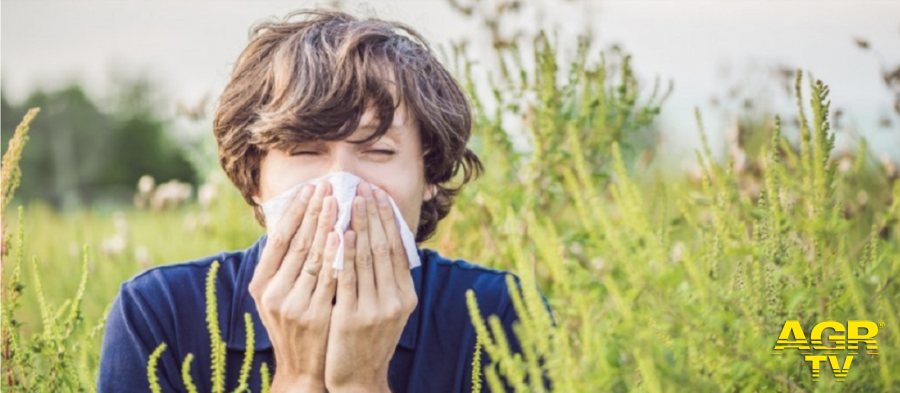 Rinite allergica: quando la primavera fa pizzicare il naso