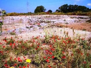 Regione Lazio, 1,4 milioni di euro per restauri dimore storiche Regione Lazio, 1,4 milioni di euro per restauri dimore storiche