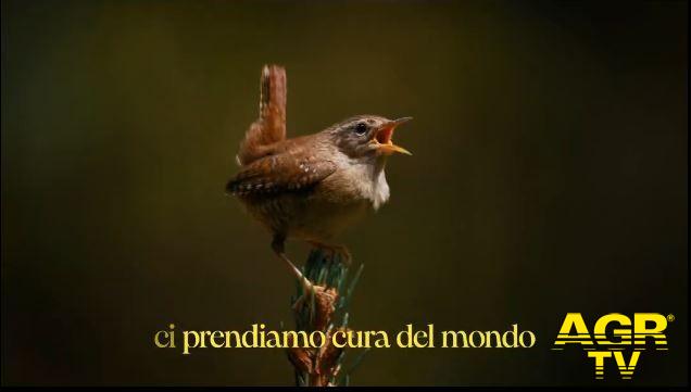 Lipu-BirdLife Italia - Ci prendiamo cura del mondo