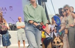 Roma. grande successo e partecipazione di cittadini alla sfilata dei cani dei canili comunali