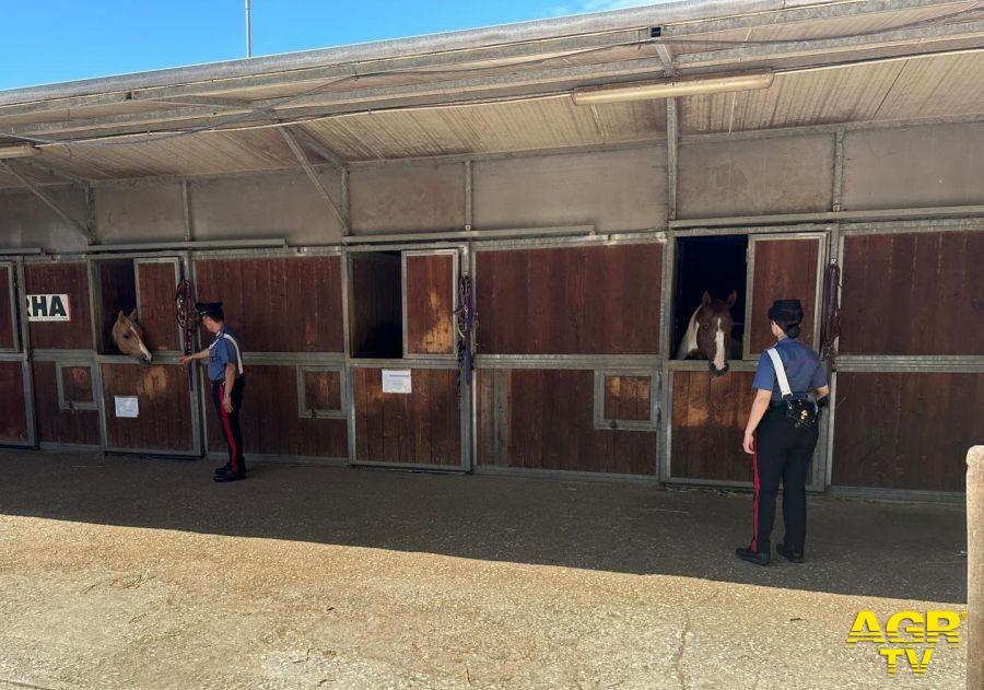 Carabinieri i controlli nei centri ippici