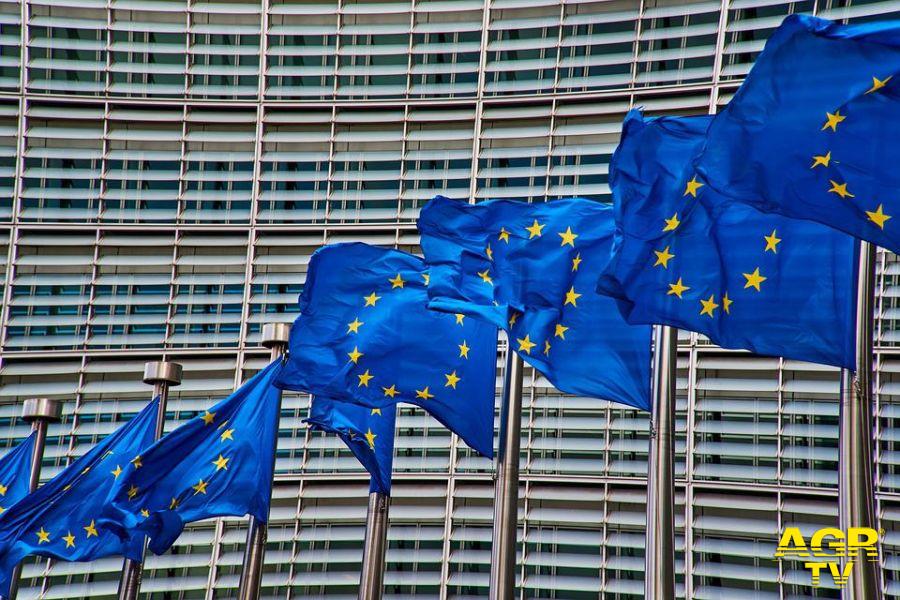 Elezioni Europee, il centrodestra avanza, cosa succederà adesso?