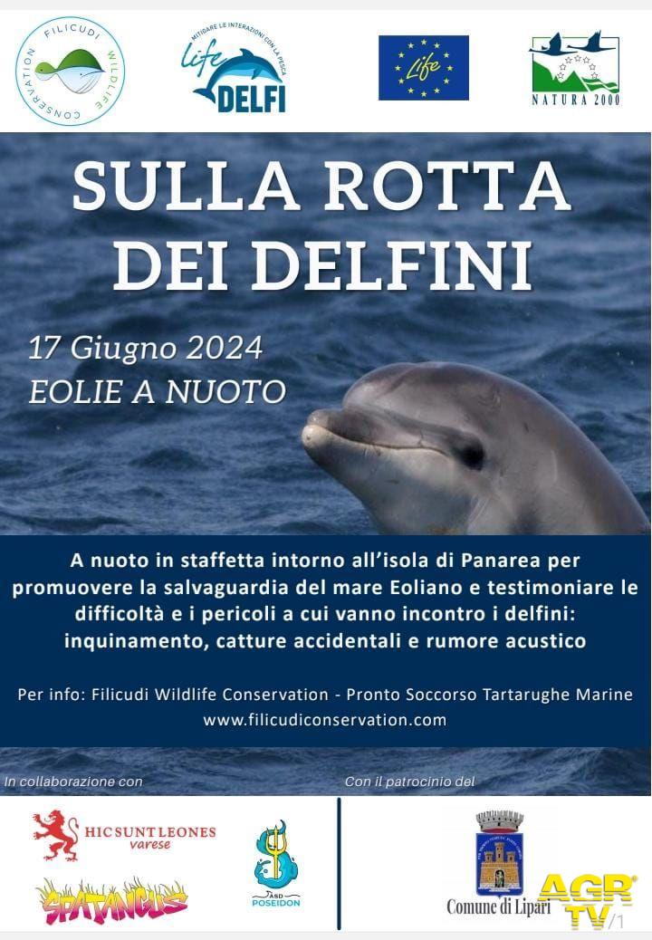 Sulla rotta dei delfini locandina evento