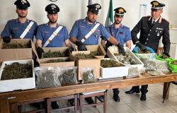 San Casciano in Val di Pesa: più di otto kg di marijuana nascosti in casa.