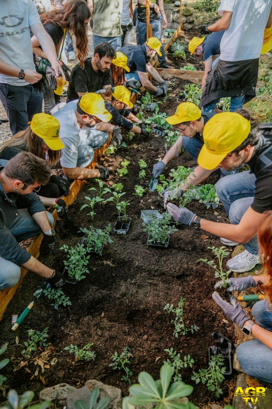 nuovo orto botanico a Villa Borghese