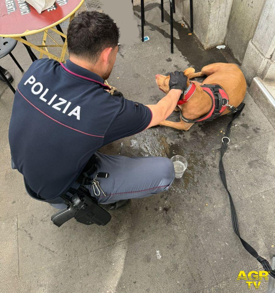 Il cane soccorso dagli agenti