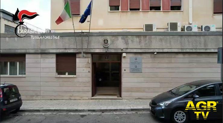 Carabinieri del N.I.P.A.A..F del gruppo Carabinieri Forestale di Reggio Calabria