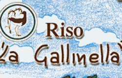 Il Riso al Femminile - Azienda - La Gallinella - di Velezzo lomellina