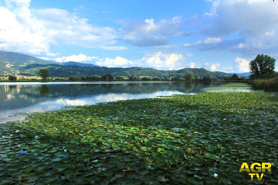 Paesaggio rurala Pris Aida foto da comunicato stampa