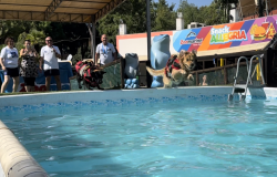 Torvajanica, alla Zoomarine Splash dog eroi a due e....quattro zampe per la sicurezza in acqua