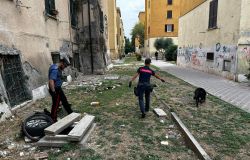 Roma, blitz antidroga dei carabinieri nelle maggiori piazze di spaccio, 17 arresti e sequestrate centinaia di dosi di droga