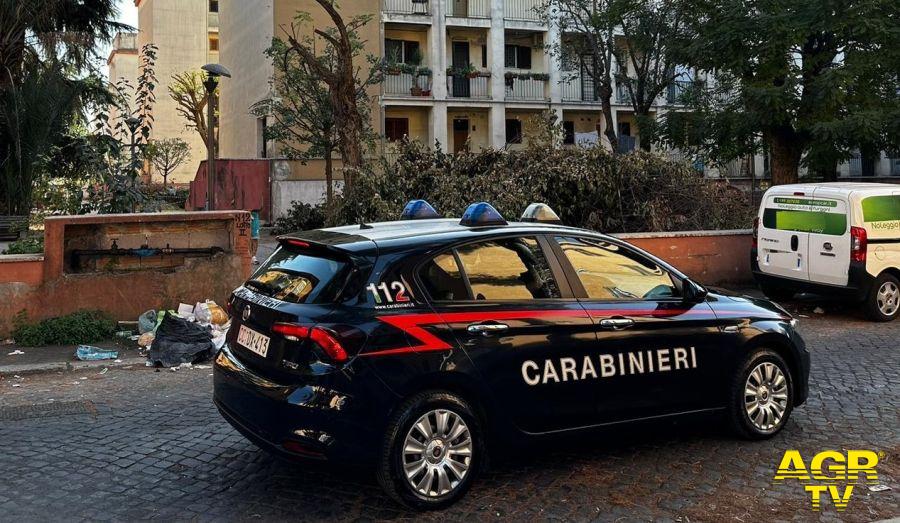 Carabinieri controlli antidroga ricerca nascondigli