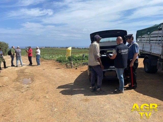 Caporalato e Lavoro in Nero: Carabinieri Effettuano Controlli a Palermo