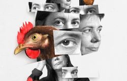 L'Occhio della gallina, autoritratto di Antonietta De Lillo