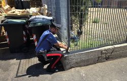 Roma, blitz antidroga dei Carabinieri al Quarticciolo, lo stupefacente era nascosto in buche nel terreno, 11 arresti