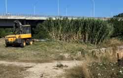 Lavori riqualificazione ponte Marconi