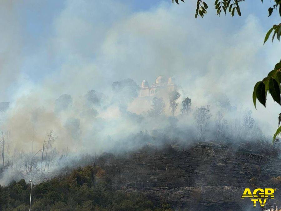 Incendio di Monte Mario