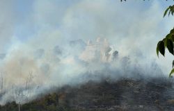 Roma, incendio Monte Mario, servono più risorse per l'antincendio e la cura del verde