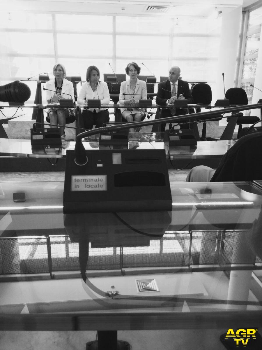 Fiumicino, ripartono i corsi serali per adulti Fiumicino, ripartono i corsi serali per adulti