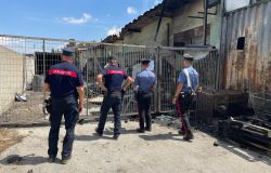 Roma, blitz dei Carabinieri forestali, nel mirino discariche abusive e prevenzione incendi, denunce e sanzioni