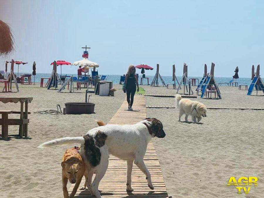 Baubeach foto spiaggia