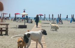 Maccarese, il lungo week end di ferragosto al Baubeach