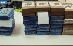 Roma, presi due cavalli per il trasporto droga, in un box ed in un appartamento detenevano 50 kg. di cocaina e 96 mila euro