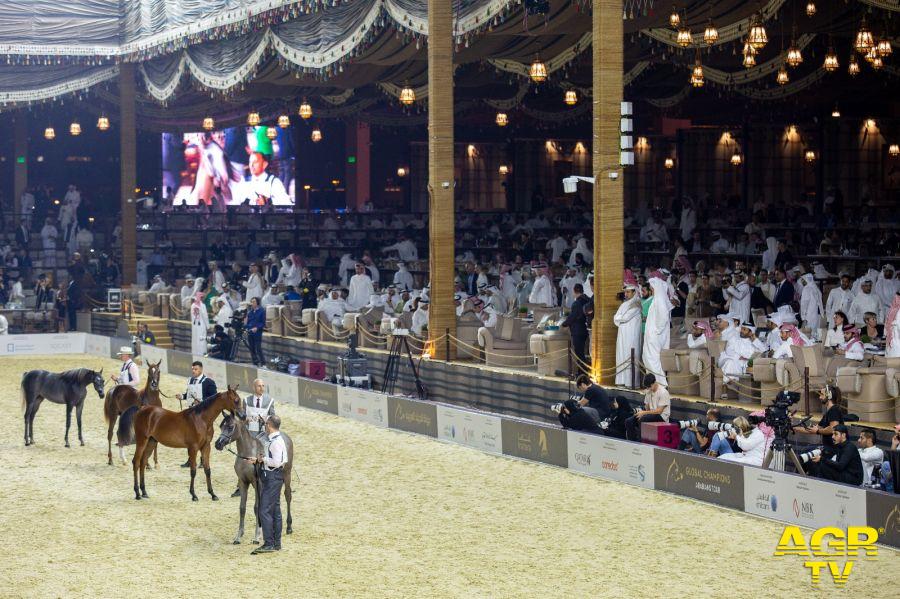 Global Champion Arabians Tour foto da comunicato stampa