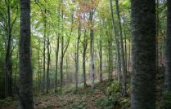 Estate in oasi...un successo