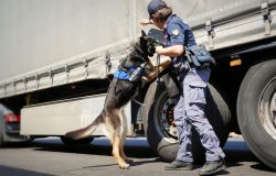 Polizia di Stato in prima linea: bilancio di un’estate di prevenzione e controlli