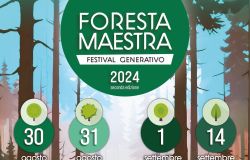 Foresta maestra”, torna il Festival generativo dedicato a Vallombrosa