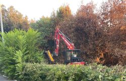 monte mario bonifica panoramica automezzi al lavoro