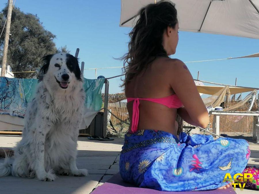 baubeach con il cane sotto l'ombrellone