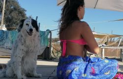 baubeach con il cane sotto l'ombrellone