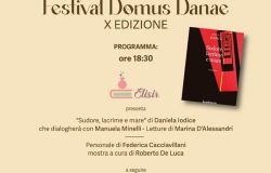 Appuntamento Festival Domus Danae locandina