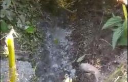 Fiumicino, liquami nell'Arrone